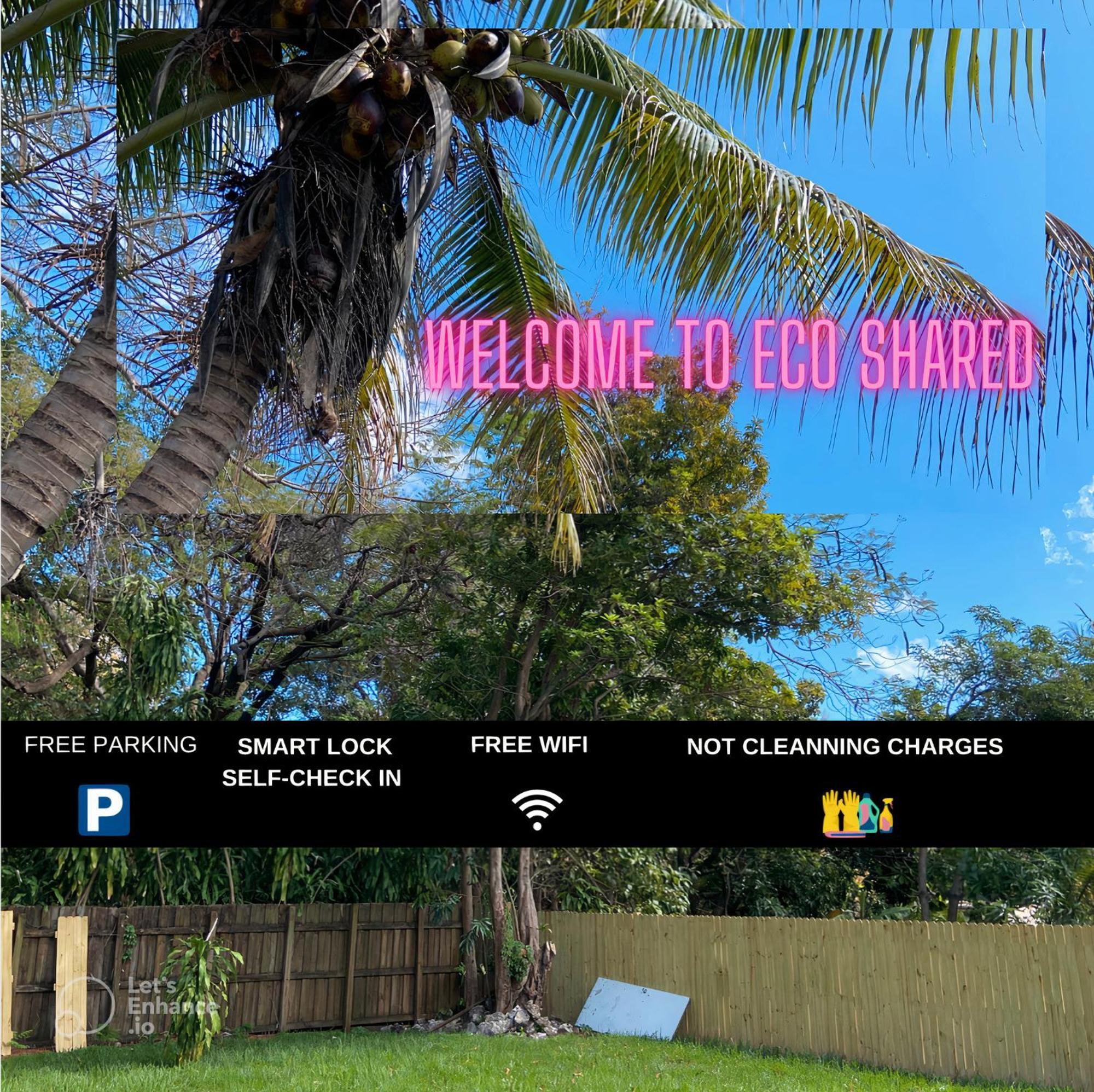 Parnasus Wynwood Hostal Miami
